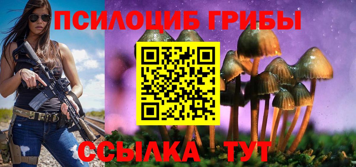 Усть-Джегута  купить наркотики сайты  Вход с VPN  Галлюциногенные грибы мицелий 